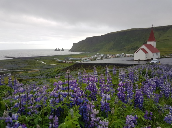 10 días en Islandia en el verano de 2017 - Blogs of Iceland - Día 2: Las cascadas del sur (8)