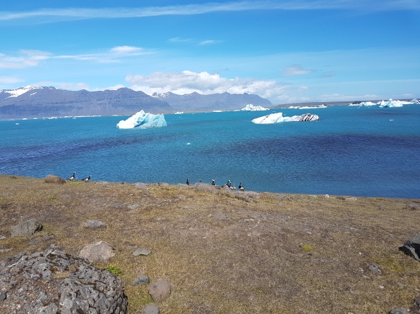 10 días en Islandia en el verano de 2017 - Blogs of Iceland - Día 3: Las lagunas glaciares (5)