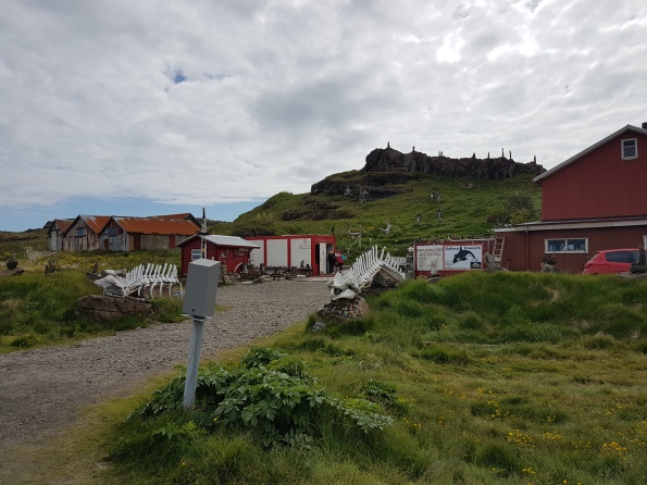 10 días en Islandia en el verano de 2017 - Blogs de Islandia - Día 4: Fiordos orientales (2)
