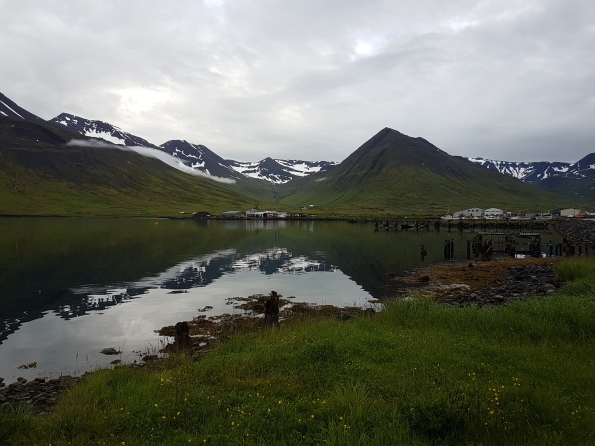 Día 7. Las ballenas y el norte - 10 días en Islandia en el verano de 2017 (3)