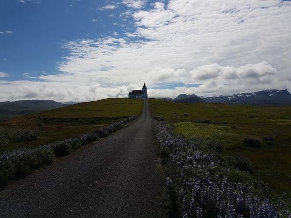 Día 9: Snæfellsjökull - 10 días en Islandia en el verano de 2017 (3)
